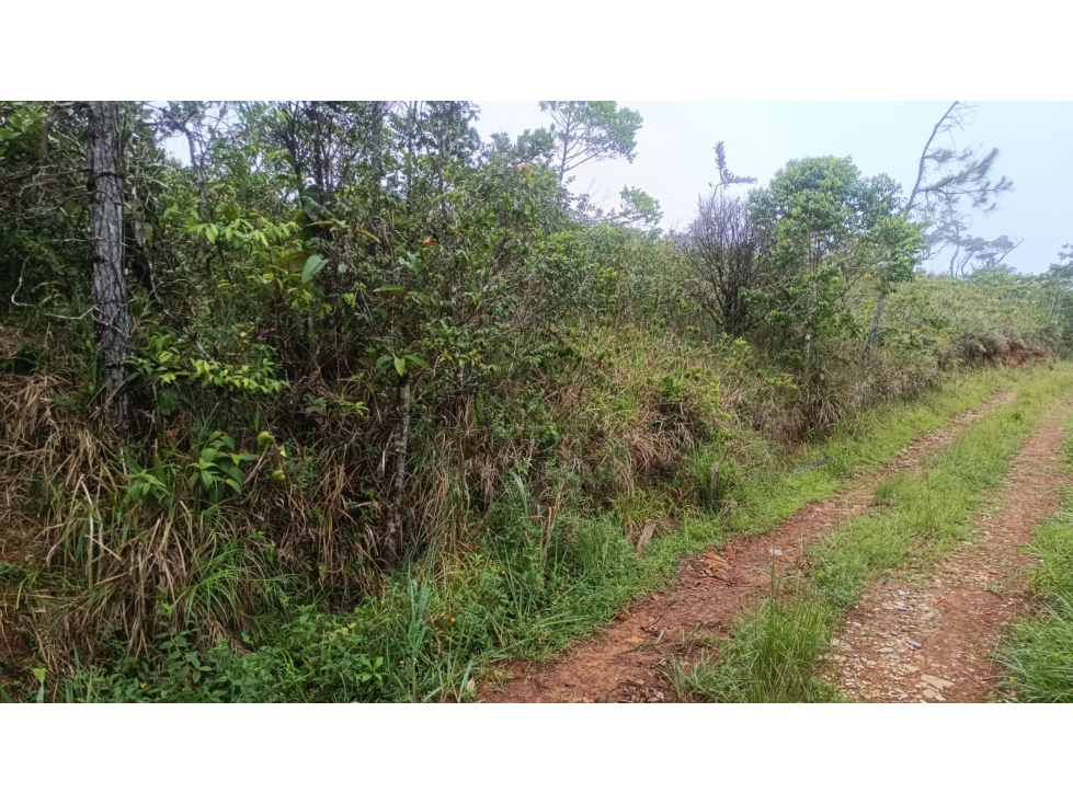 Terreno en venta en Alto Utivé Cerro Azul con vista a la ciudad — foto 3