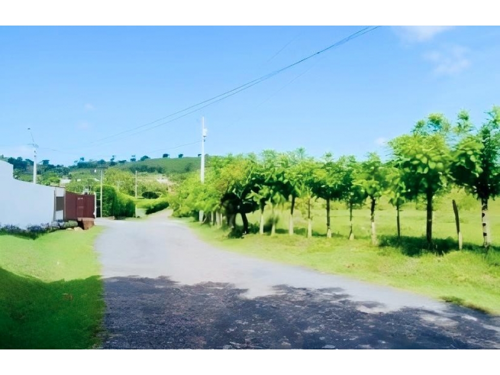 Terreno de 2.66 hectáreas en venta en Bejuco, Chame Panama Oeste - 5