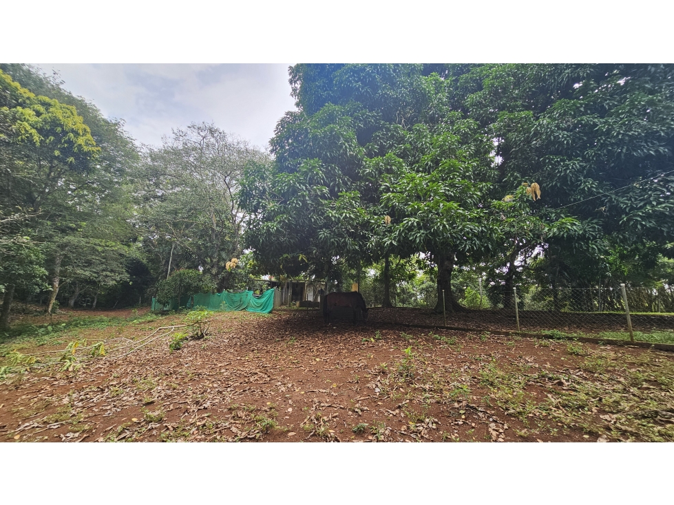 Venta de 2.4 Hectáreas en Las Mendozas, La Chorrera - 5