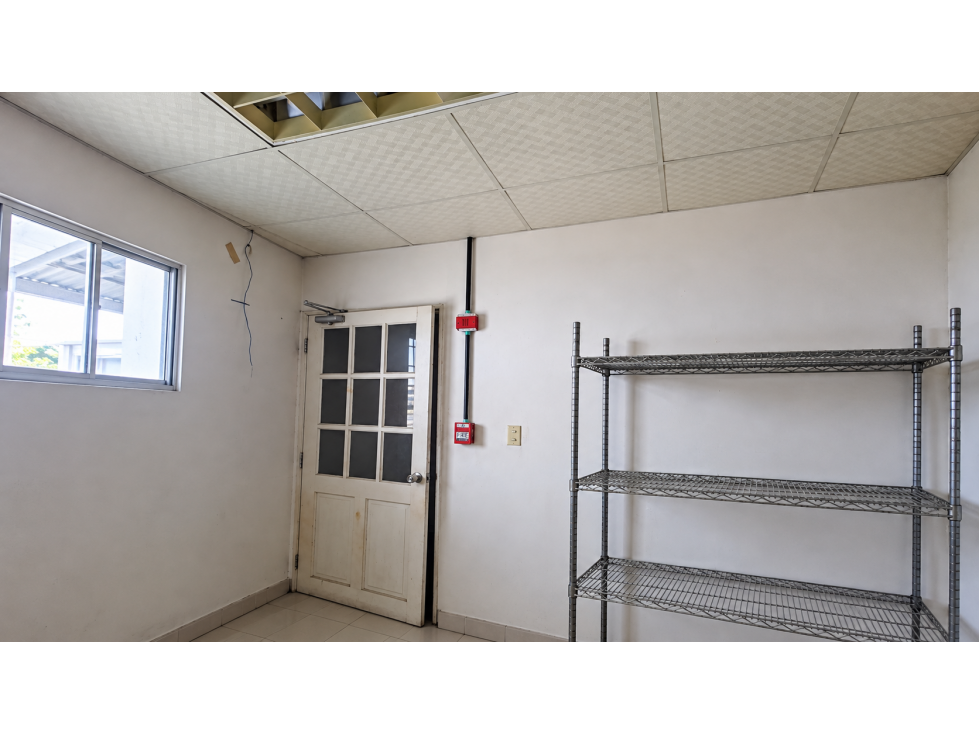 Galera en Alquiler en Betania | 1,617 m² Para Impulsar tu Negocio - 5