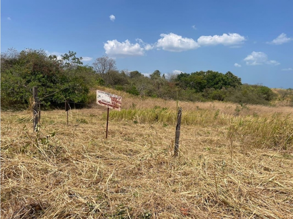 SE VENDE TERRENO EN SAN CARLOS - 6