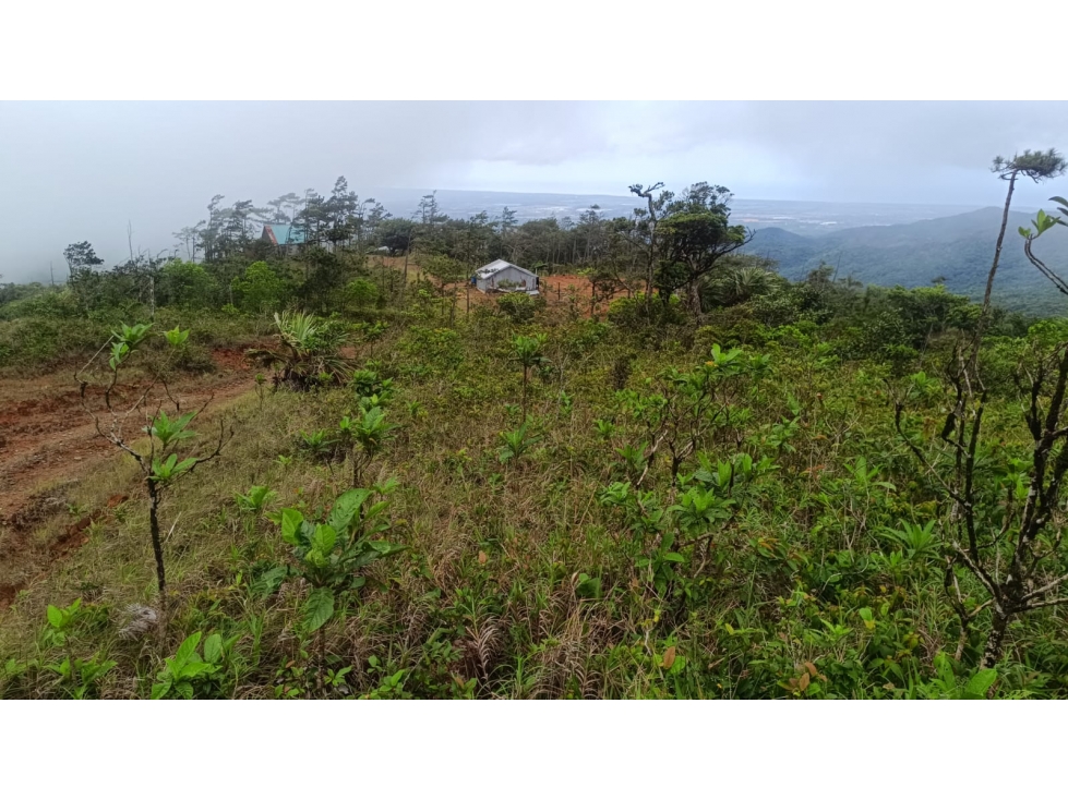 Terreno en venta en Alto Utivé Cerro Azul con vista a la ciudad — foto 4