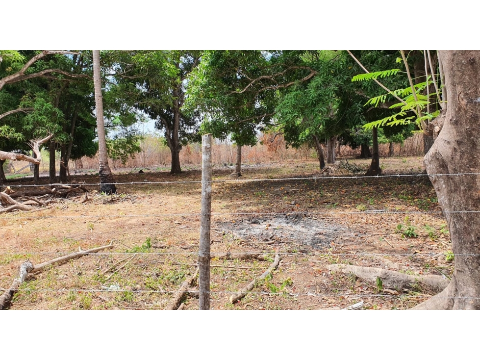 Terreno de 2.66 hectáreas en venta en Bejuco, Chame Panama Oeste - 6