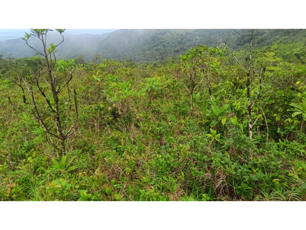 Terreno en venta en Alto Utivé Cerro Azul con vista a la ciudad — foto 5