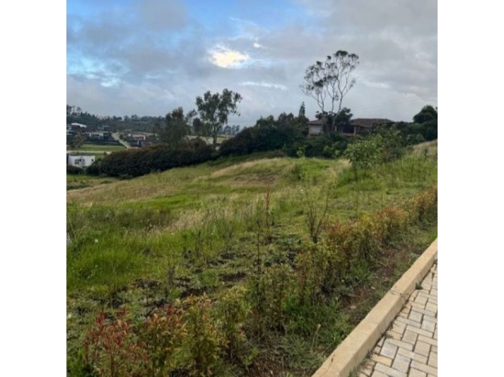 Lote para la venta en Envigado Alto de las Palmas — foto 4