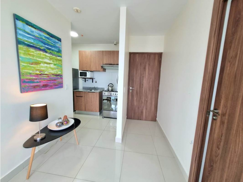 Apartamento En Alquiler En Obarrio | Ph Downtown — foto 4