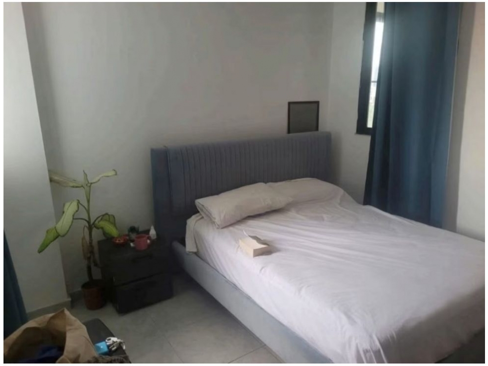 Apartamento En Alquiler Amoblado En Vía Brasil — foto 5