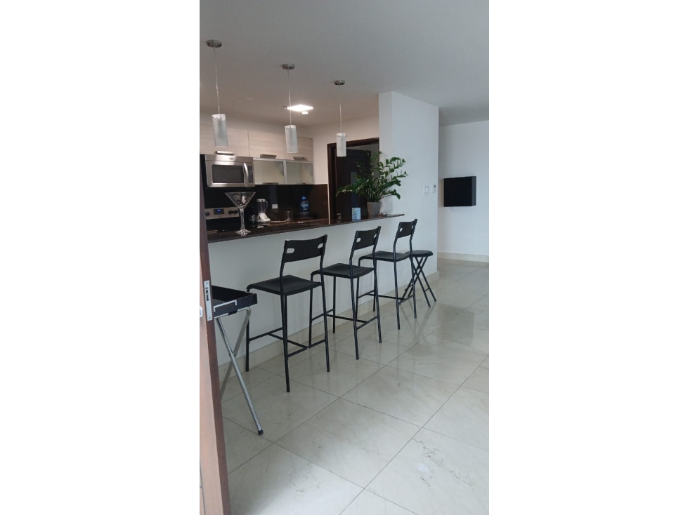 Apartamento En Alquiler En Ave. Balboa PH Villa Del Mar