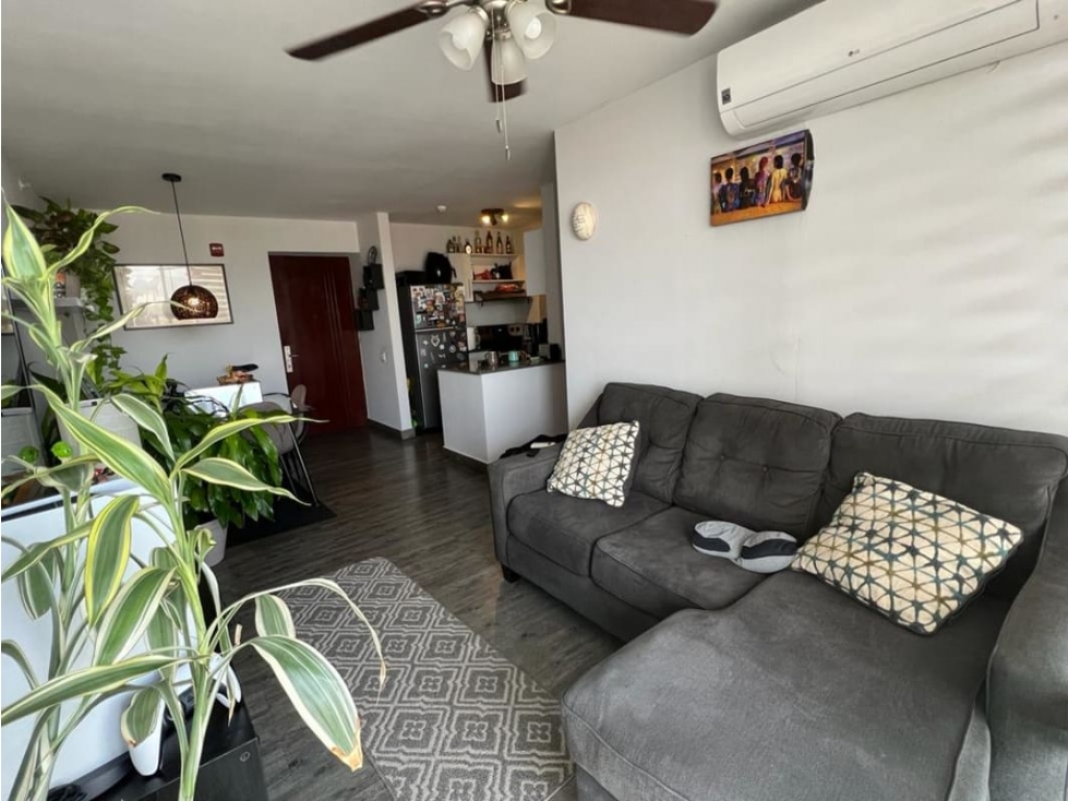 Se Vende Apartamento En Vía España | Ph Alegria — foto 2