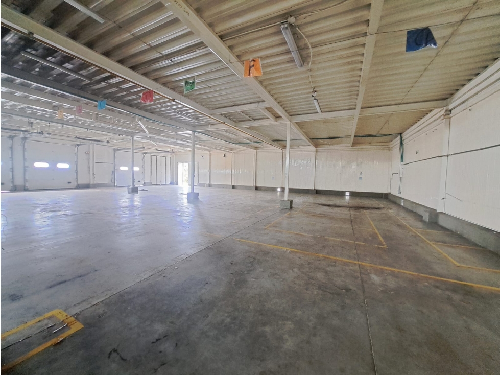 ARRIENDO ESPECTACULAR BODEGA PARA EMPRESA DE ALIMENTOS - 5