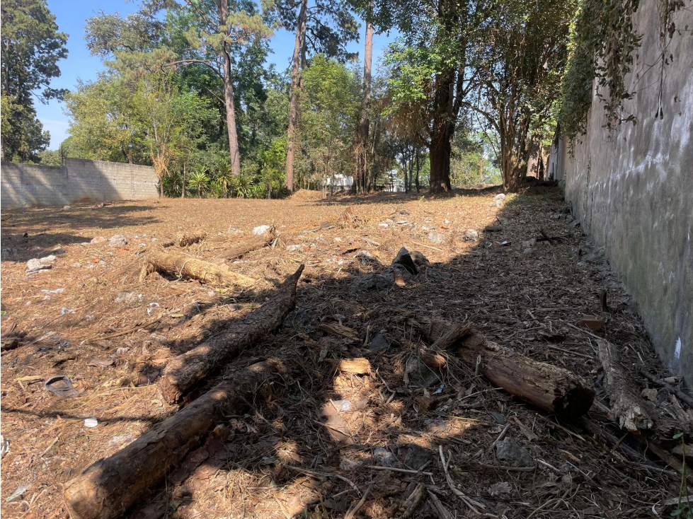 TERRENO EN VENTA ZONA CENTRO AVANDARO — foto 4