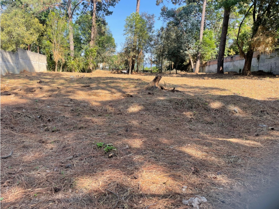 TERRENO EN VENTA ZONA CENTRO AVANDARO
