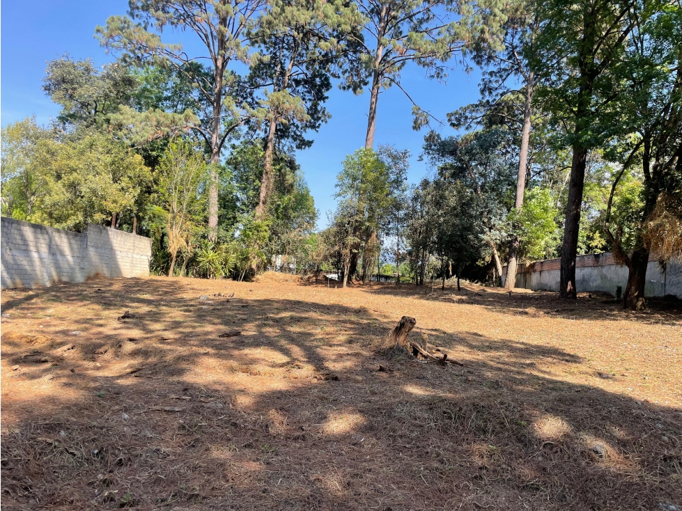 TERRENO EN VENTA ZONA CENTRO AVANDARO — foto 2
