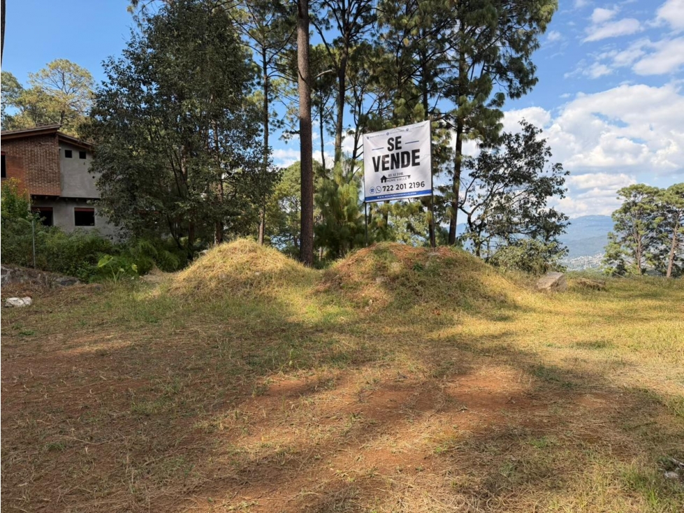 TERRENO EN VENTA A TAN SOLO 10 MINUTOS DEL CENTRO DE AVANDARO — foto 3