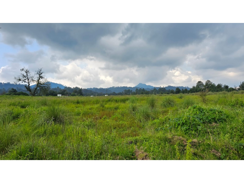TERRENO EN VENTA CERCA DE VALLE SANTANA — foto 5