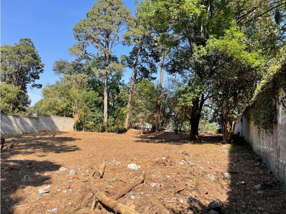 TERRENO EN VENTA ZONA CENTRO AVANDARO — foto 3
