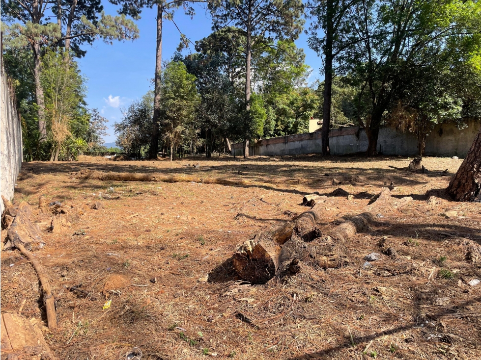 TERRENO EN VENTA ZONA CENTRO AVANDARO — foto 5