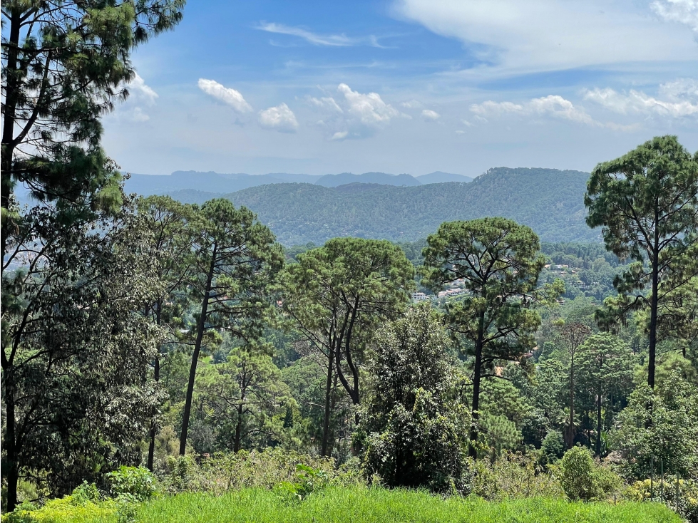 TERRENO EN VENTA A TAN SOLO 10 MINUTOS DEL CENTRO DE AVANDARO — foto 5