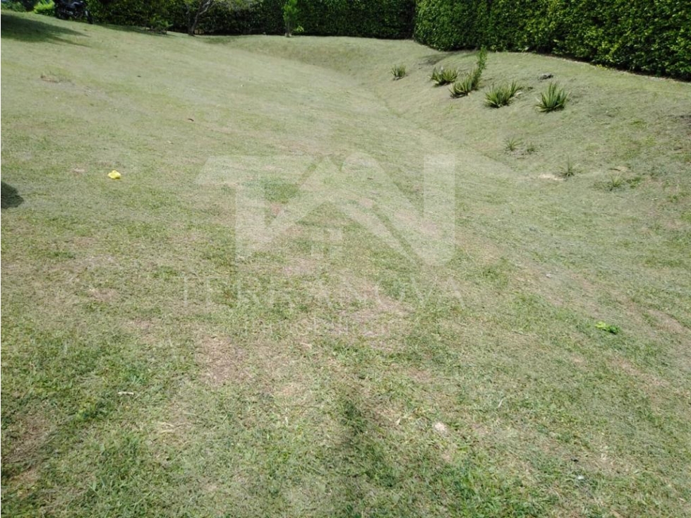 Lote para la venta de 3000 metros sector El caney