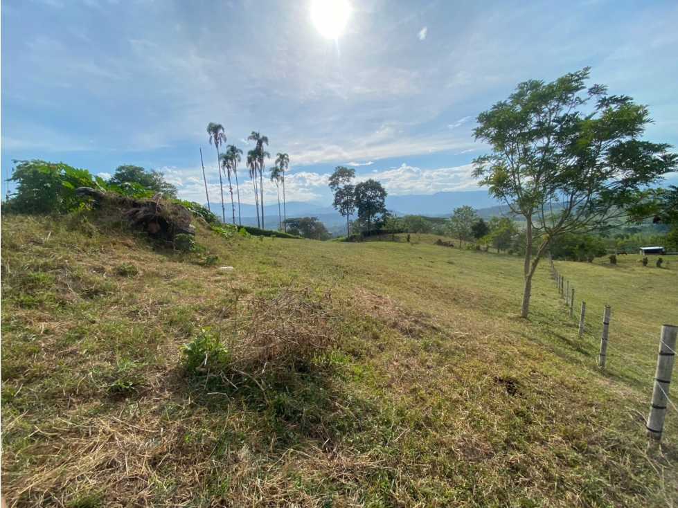 Lote en Venta Kilómetro 41 - 3