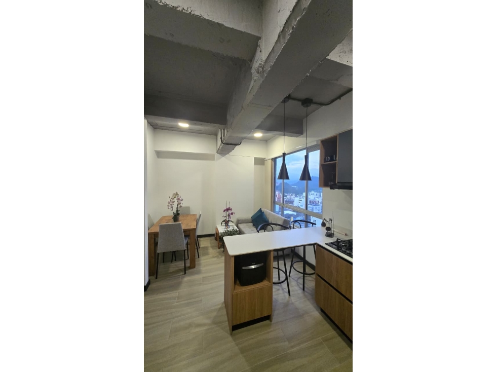 Apartamento en venta Living 48