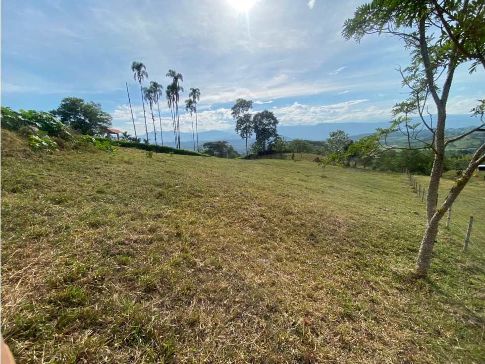 Lote en Venta Kilómetro 41 - 4