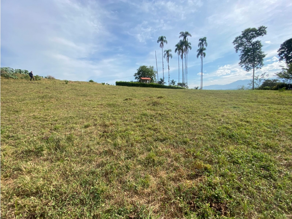 Lote en Venta Kilómetro 41 - 5