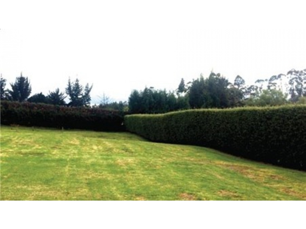 VENTA LOTE 3.284m2 CONDOMINIO CAMPESTRE VIA SIBERIA - TENJO - 4