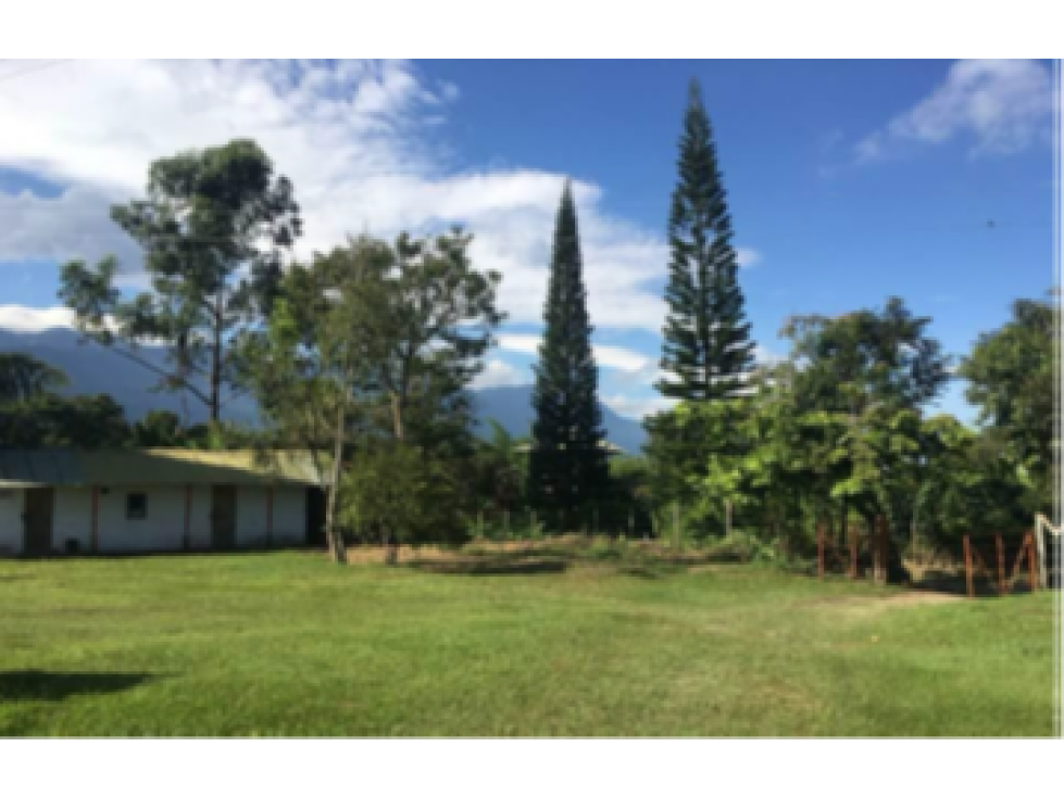 VENTA LOTE 27.300m2 USO VIVIENDA DESARROLLO ARMENIA QUINDIO — foto 2