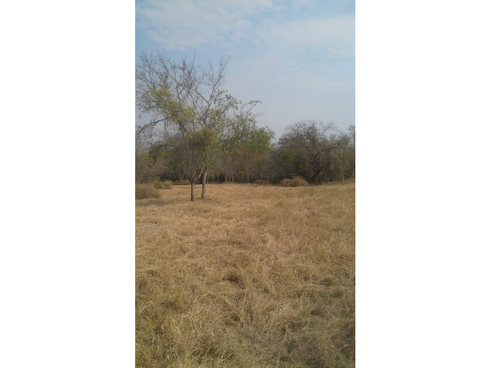 VENTA LOTE ZONA RICAURTE TURISTICO TERRENO 6548m2 CUNDINAMARCA - 3