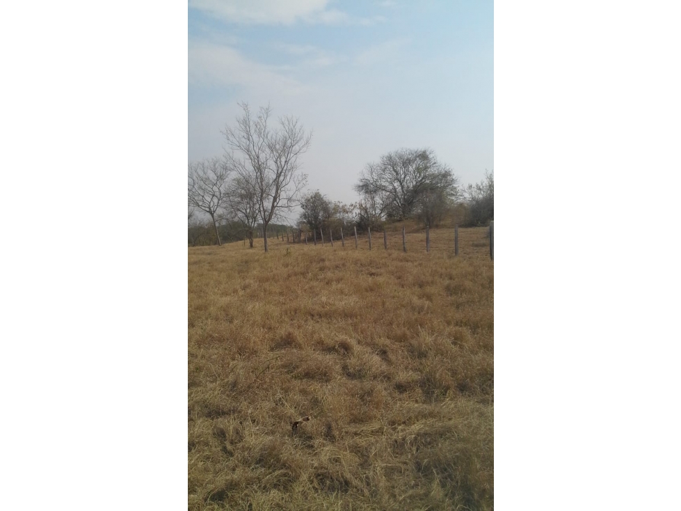 VENTA LOTE ZONA RICAURTE TURISTICO TERRENO 6548m2 CUNDINAMARCA - 6