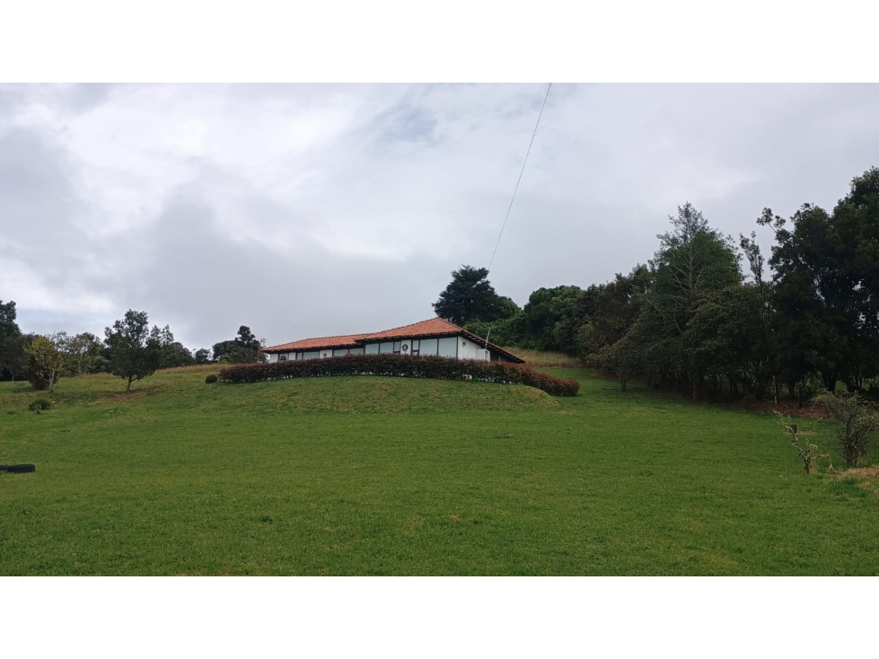 VENTA CASA 134m2 FINCA TERRENO 10.330m2 ZONA RURAL VISTA LA CALERA - 3