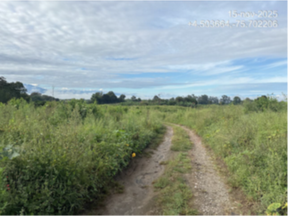 VENTA LOTE 27.300m2 USO VIVIENDA DESARROLLO ARMENIA QUINDIO — foto 3