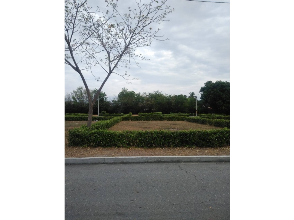 SE VENDE LOTE EN EL CONDOMINIO MIRADOR DEL SOL EN FLANDES TOLIMA - 3