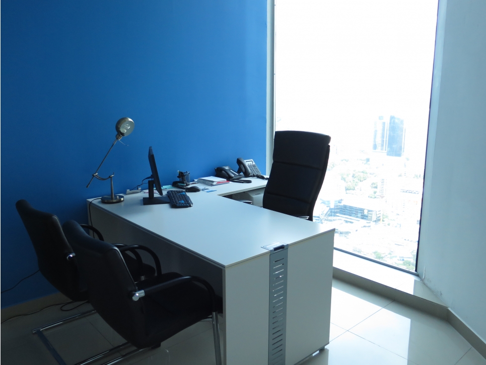 B3 - OFICINA PRIVADA VISTA A LA CIUDAD - 5