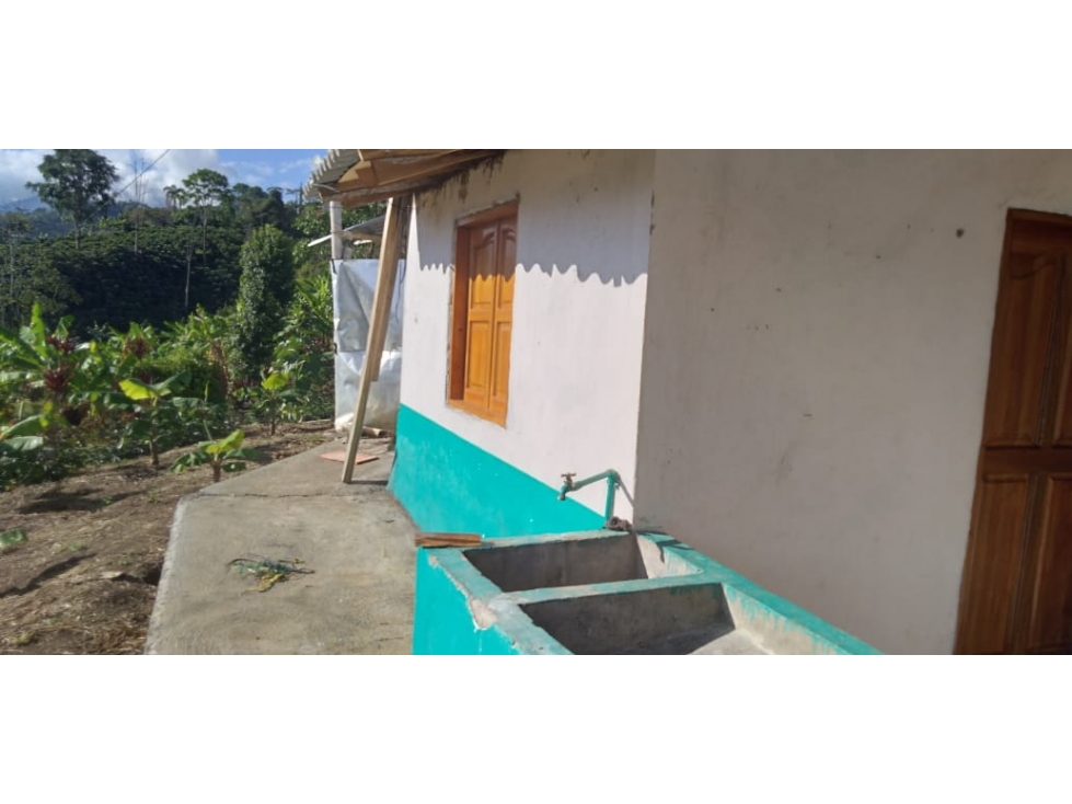 VENTA FINCA EN JARDIN, VEREDA LA CASIANA - 3