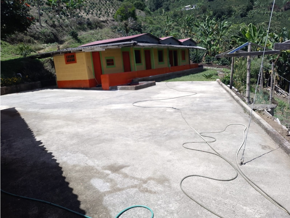 VENTA FINCA JERICO, SECTOR PALOCABILDO - 5