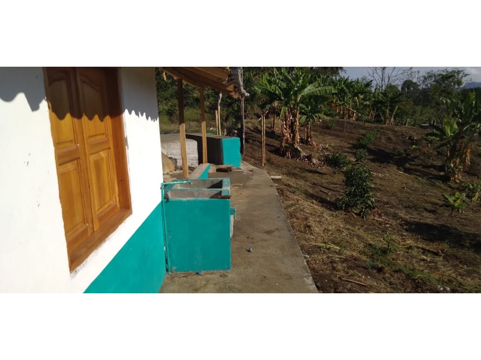 VENTA FINCA EN JARDIN, VEREDA LA CASIANA - 4