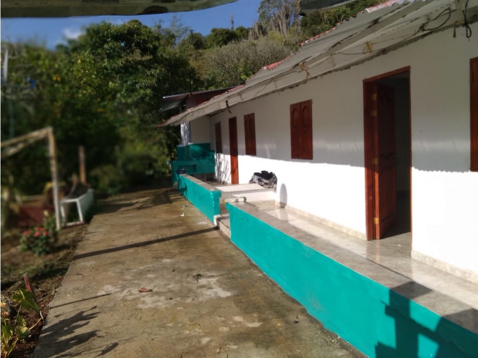 VENTA FINCA EN JARDIN, VEREDA LA CASIANA - 5
