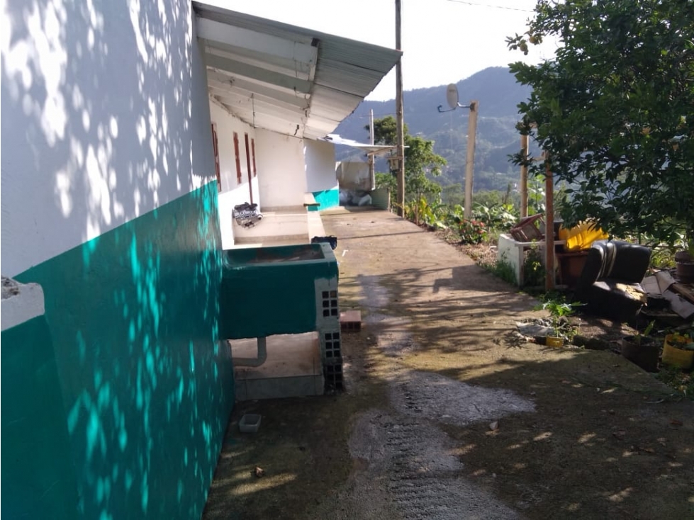VENTA FINCA EN JARDIN, VEREDA LA CASIANA - 6