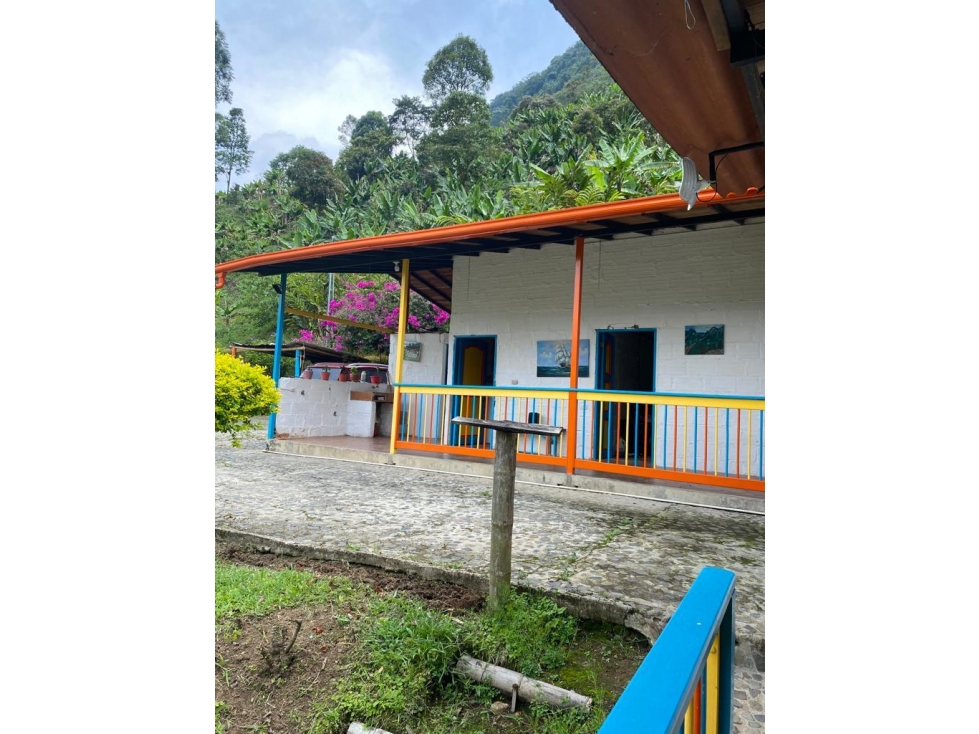 VENTA-CAMBIO FINCA EN JARDIN, SECTOR LA SALADA - 5