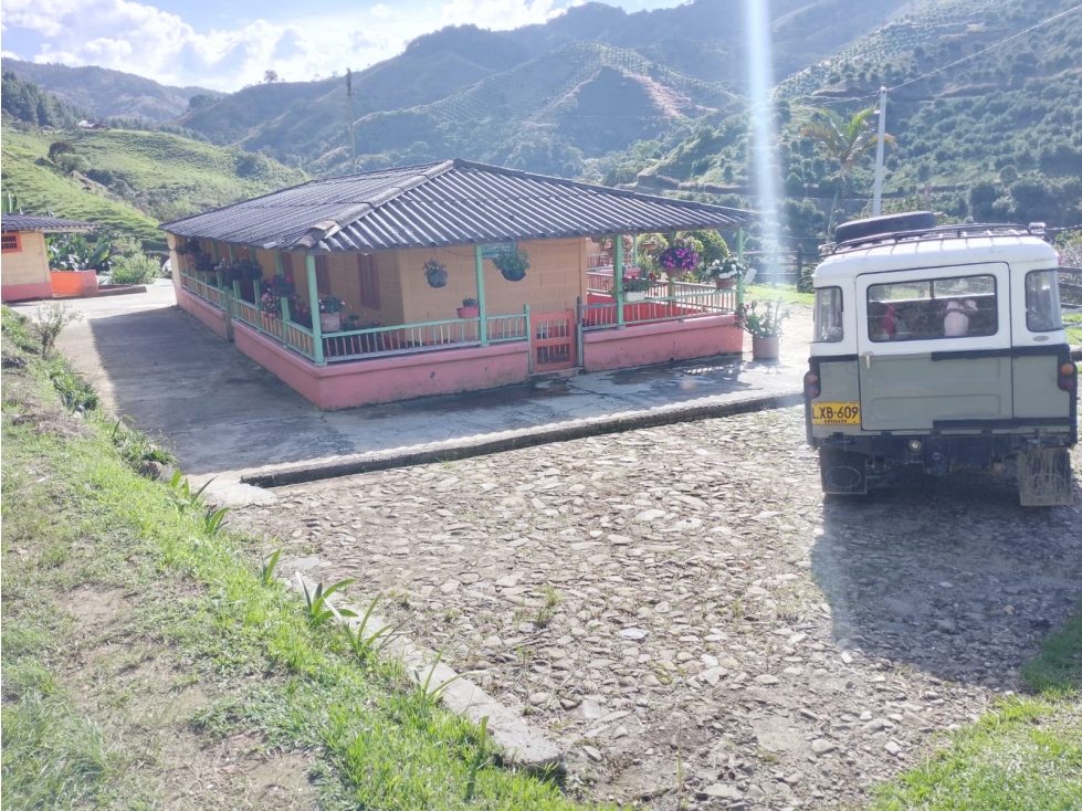VENTA FINCA JERICO, SECTOR PALOCABILDO - 4