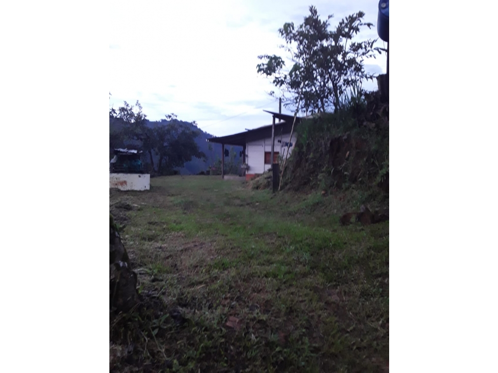 VENTA FINCA-LOTE EN JARDÍN, VEREDA GIBRALTAR - 2