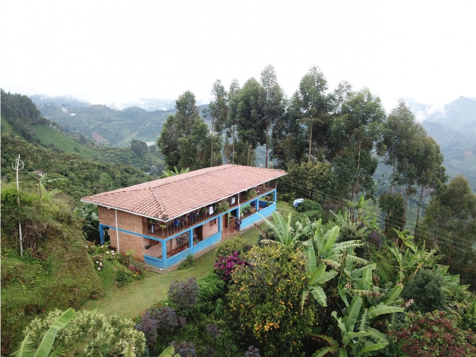 VENTA FINCA EN JARDÍN, VEREDA SERRANÍAS - 2