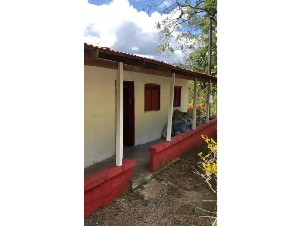 VENTA LOTE CON CABAÑA EN JARDIN, SECTOR SAN BARTOLO - 4