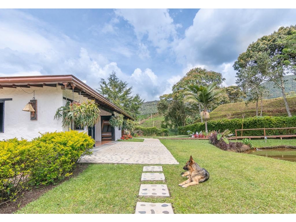 VENTA FINCA EN LA CEJA, SECTOR SAN NICOLAS - 4