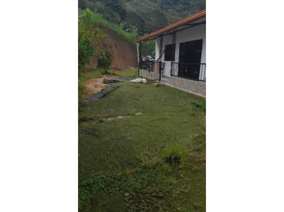 VENTA FINCA CAFETERA EN BARBOSA, ANTIOQUIA - 2