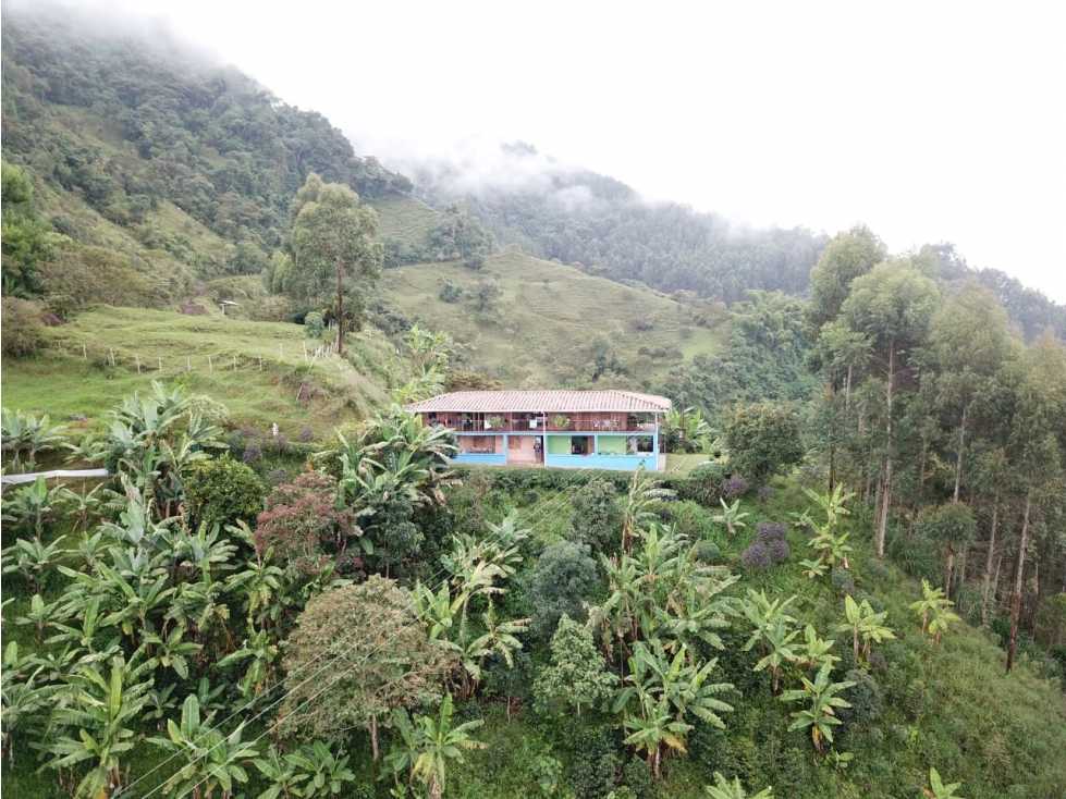 VENTA FINCA EN JARDÍN, VEREDA SERRANÍAS - 3