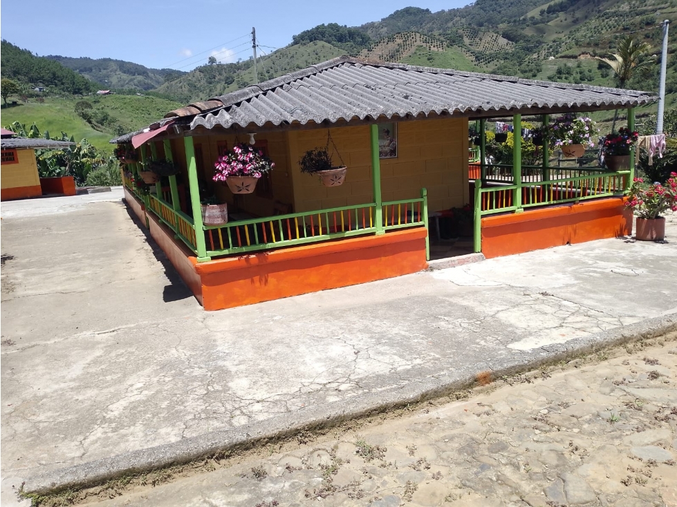 VENTA FINCA JERICO, SECTOR PALOCABILDO - 2