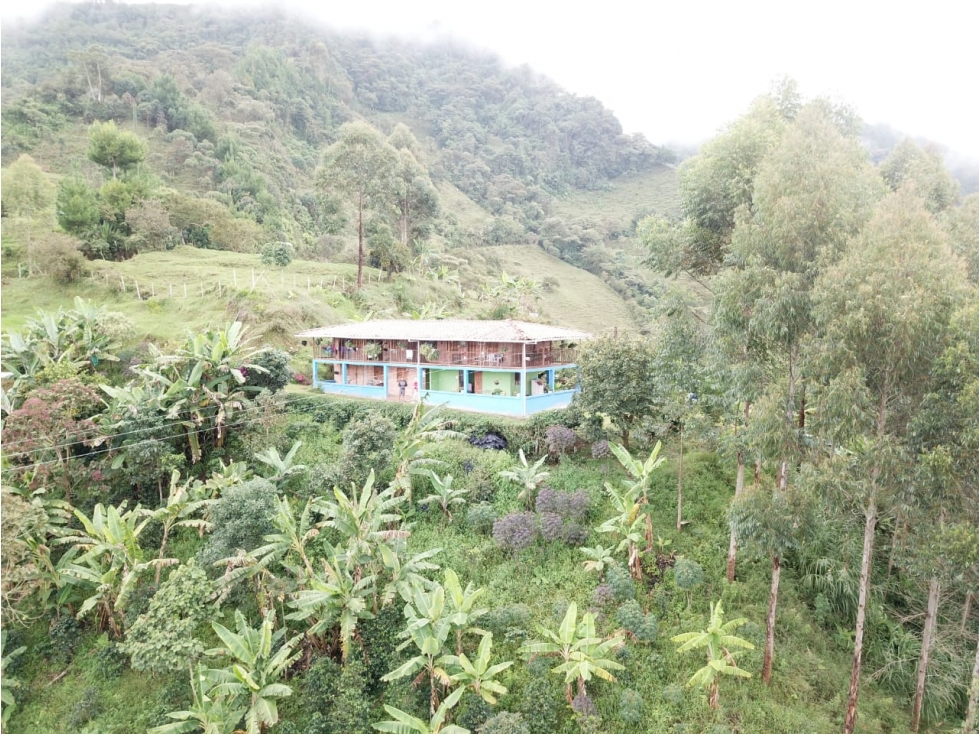 VENTA FINCA EN JARDÍN, VEREDA SERRANÍAS - 4